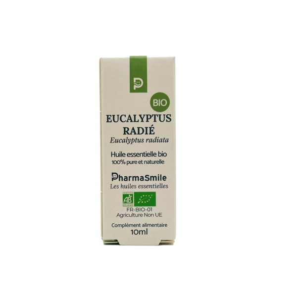 Eucalyptus radié – Image 2