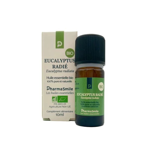 Eucalyptus radié