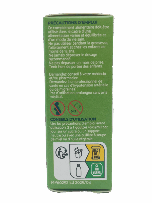 Lavande officinale – Image 3