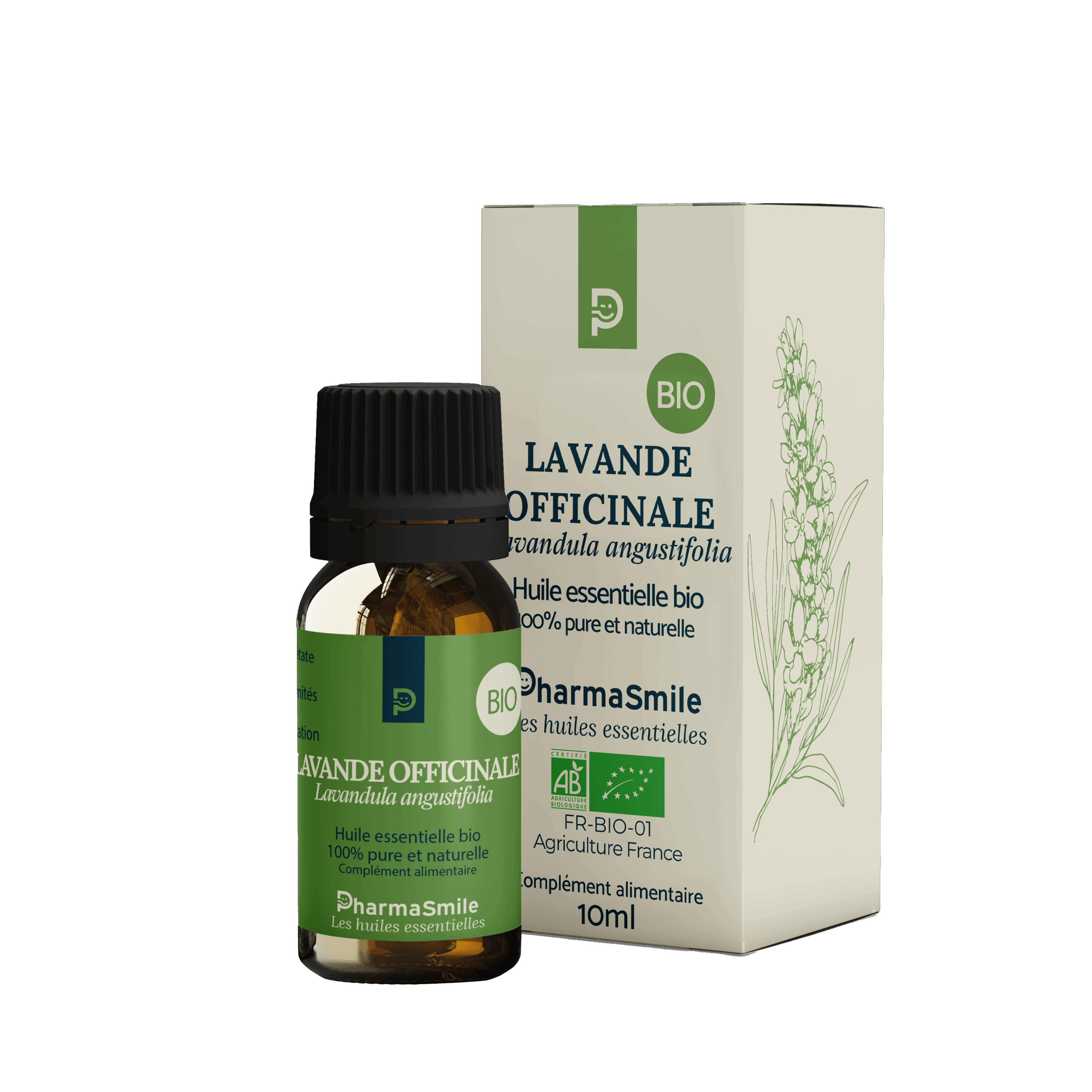 Lavande officinale