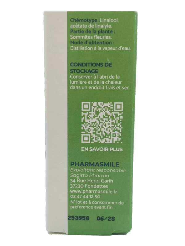 Lavande officinale – Image 4