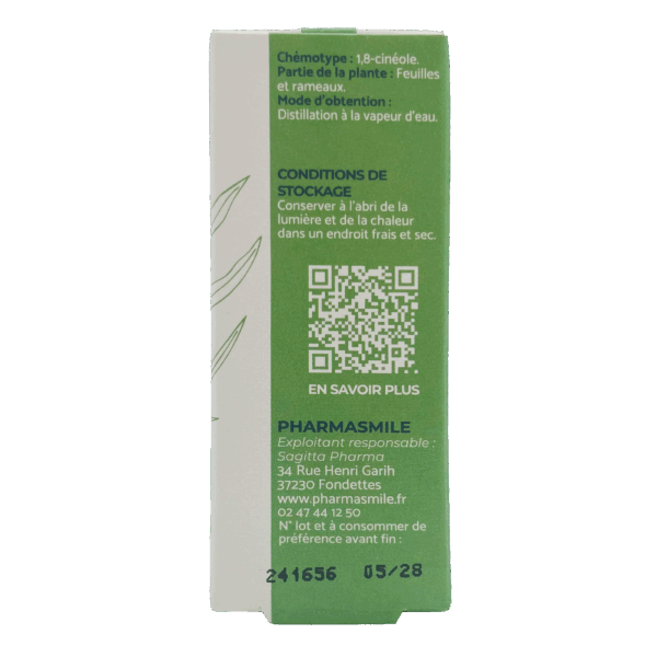 Eucalyptus radié – Image 3